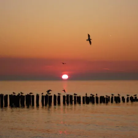 Prachtige Vakantiewoning dichtbij bos en strand OK22 Oostkapelle Buitenkant foto